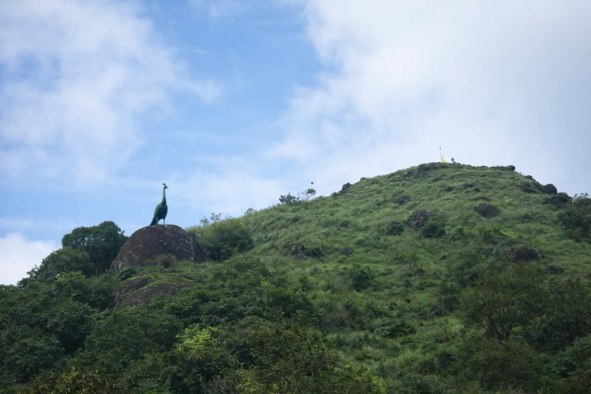 Murugan Hill Vagamon