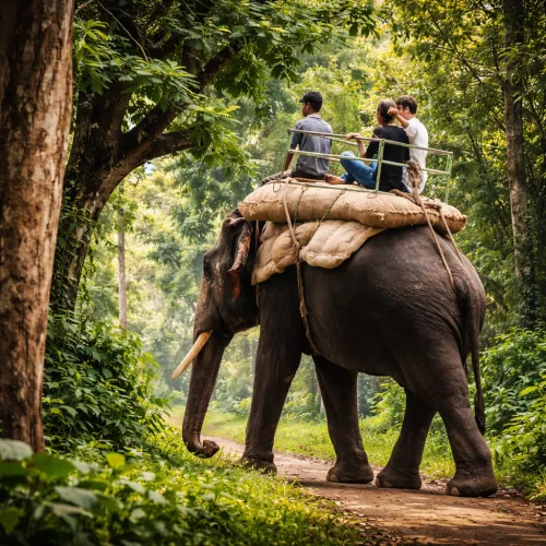 Elephant Ride