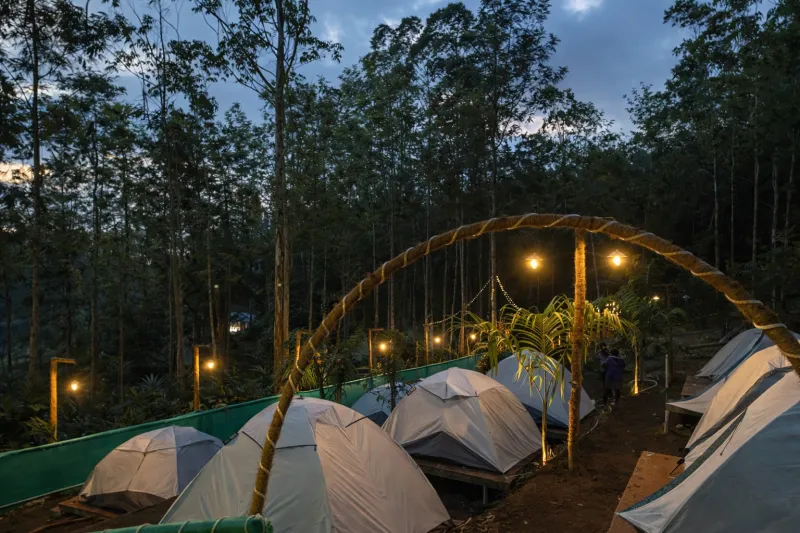 Kolukkumalai Camping with Sunrise Jeep Safari