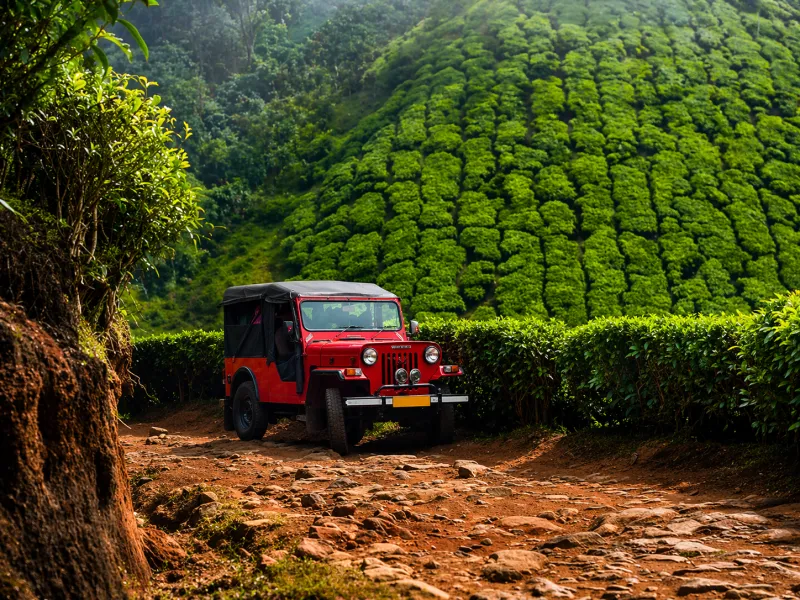 Kolukkumalai Jeep Safari image 5