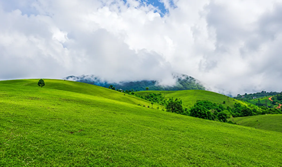 Vagamon travel assistance