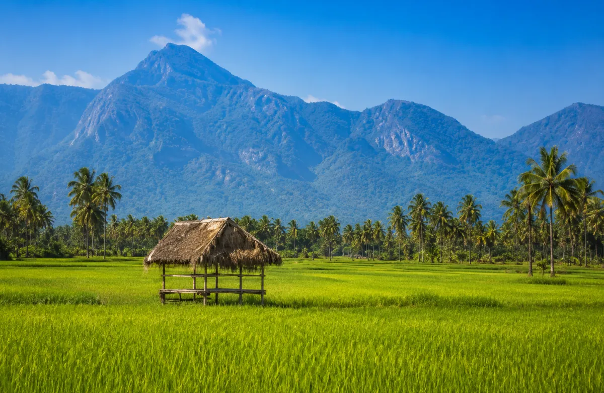 Palakkad travel assistance