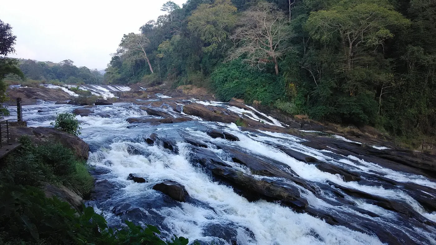 Vazhachal Falls flowing over dark rocks beside dense forest