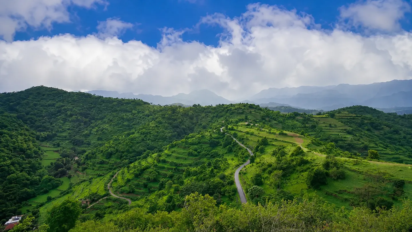 Green hills and a winding road in Attappadi