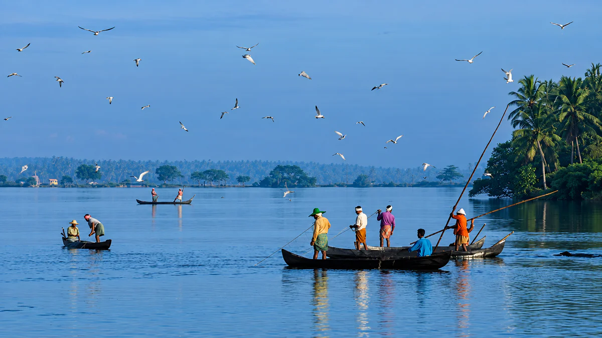 Traditional fishing boats on calm backwaters near Cherai