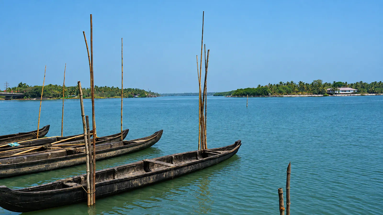 Traditional narrow boats moored on the Chettuva backwaters