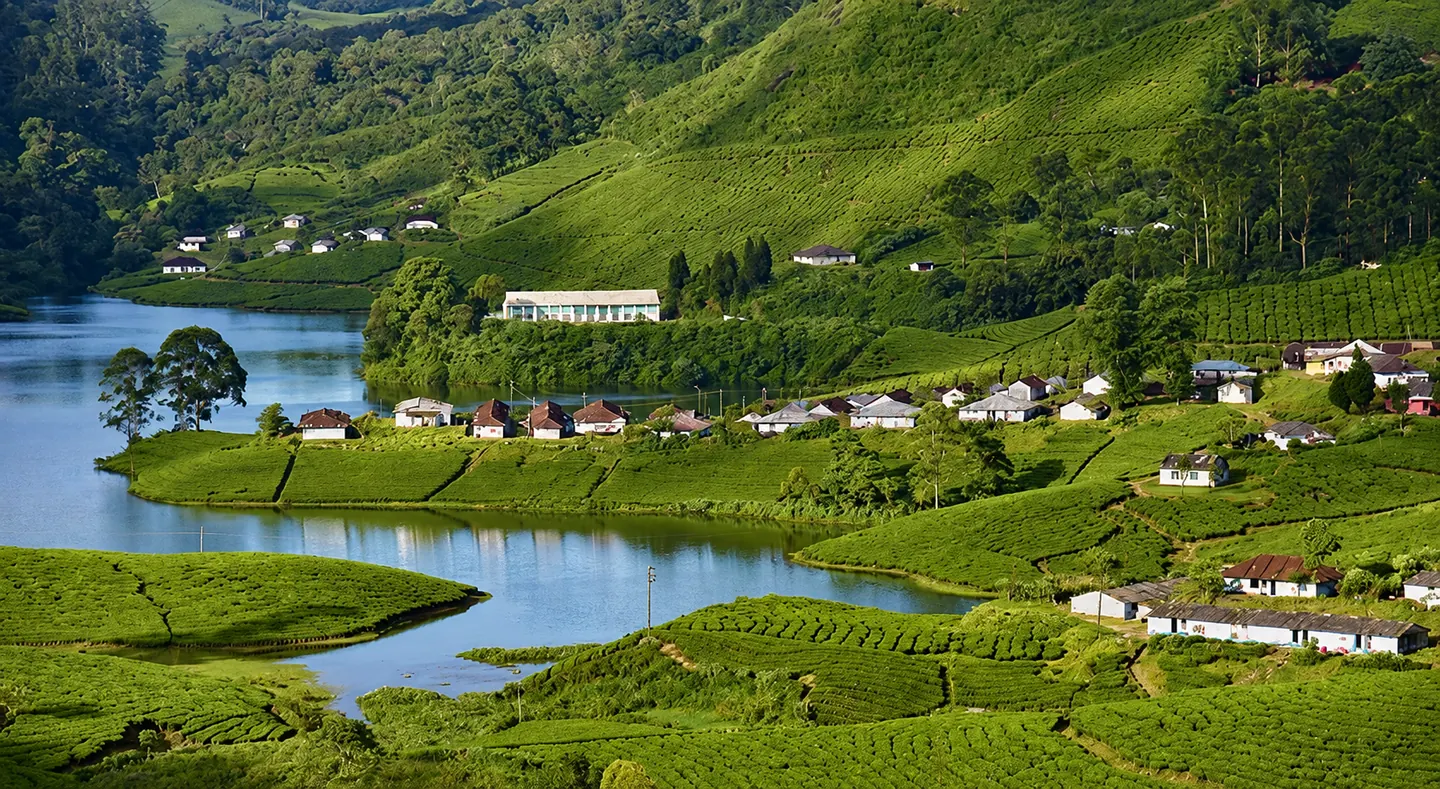 Tea hills and water — user-supplied, AI-enhanced photograph