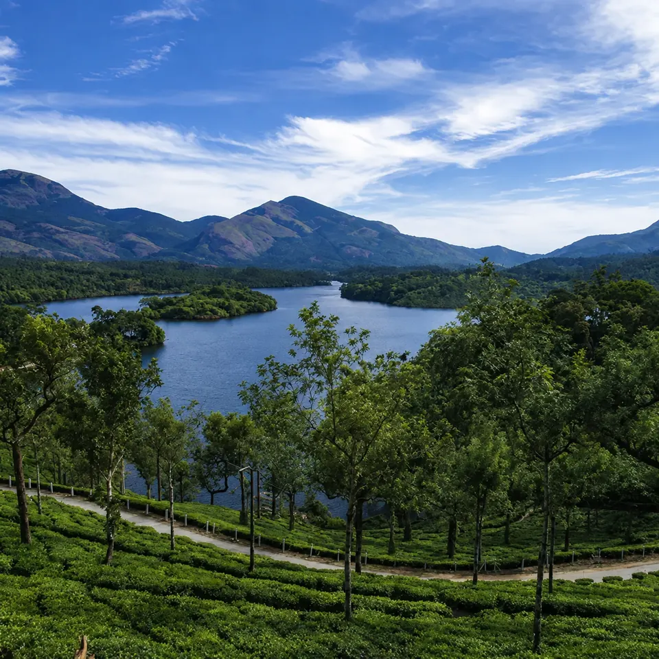 Reservoir and tea-country scenery — user-supplied, AI-enhanced photograph