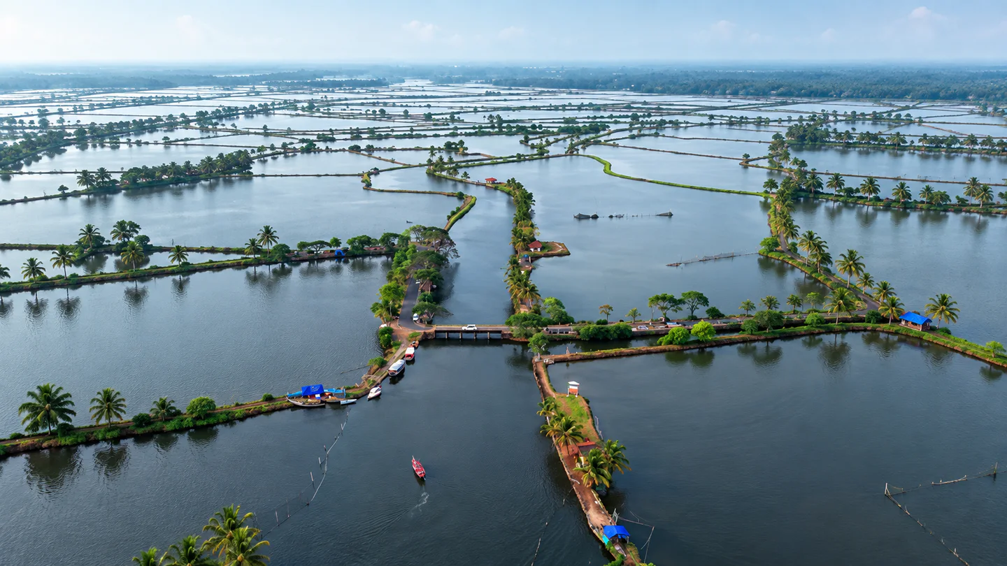 Aerial editorial reconstruction of Kadamakkudy island wetlands and water plots