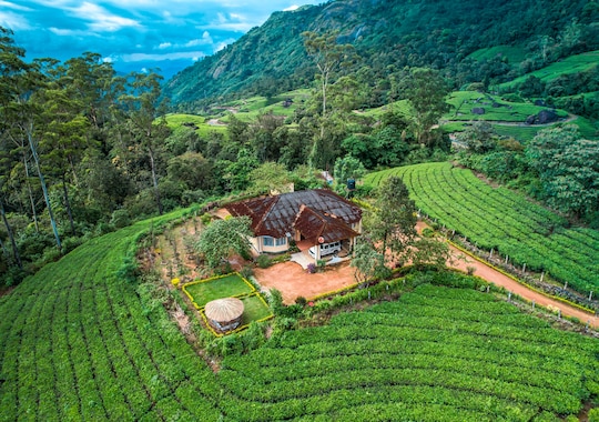 Viriparai British Tea Bungalow image 3