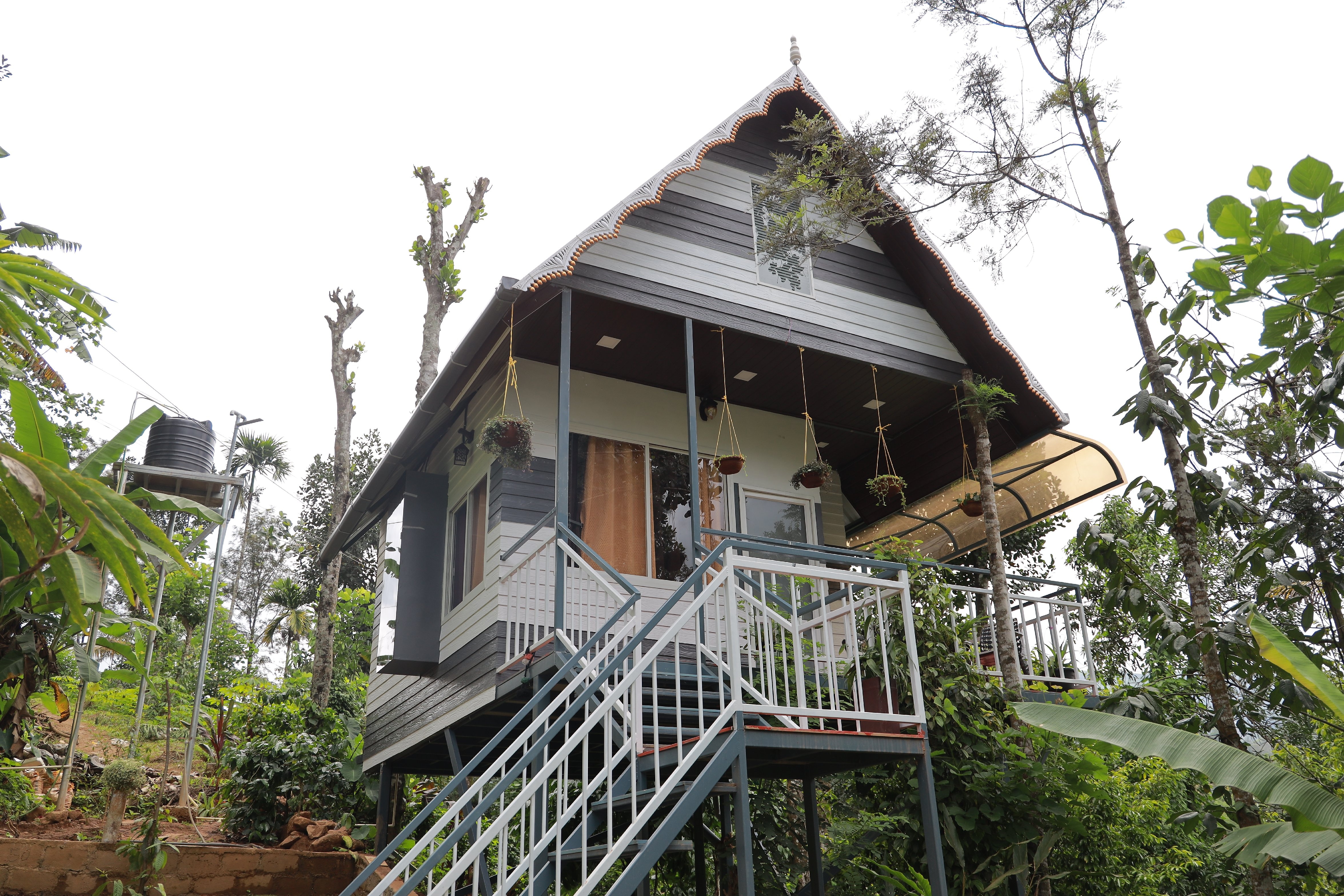 Wayside Cottage image 1