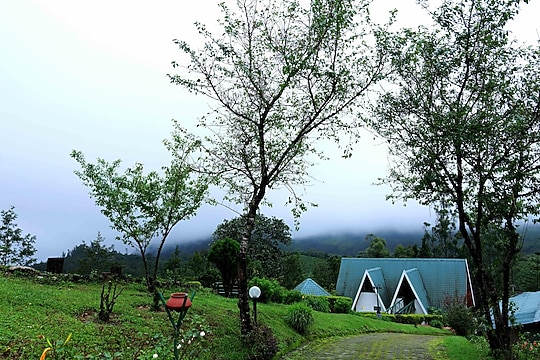 Camelot Resort Munnar image 3