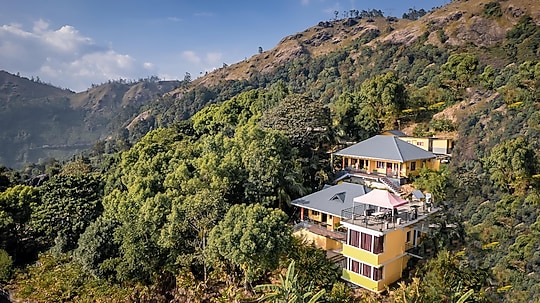 Greenleaf Holidays image 1