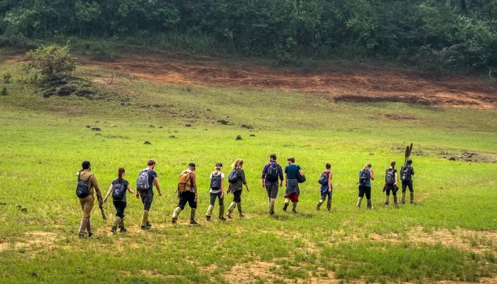 Group walking through a grassy landscape