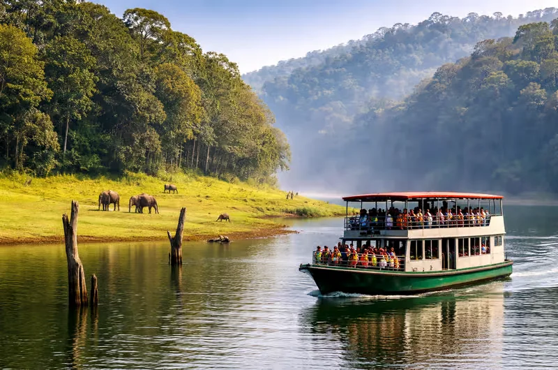 Boat on a lake beside a forested shore with animals in the distance