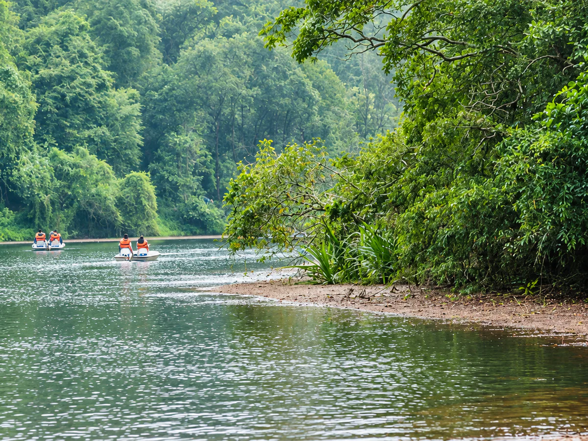 Pookode Lake surrounded by dense evergreen forest near Vythiri