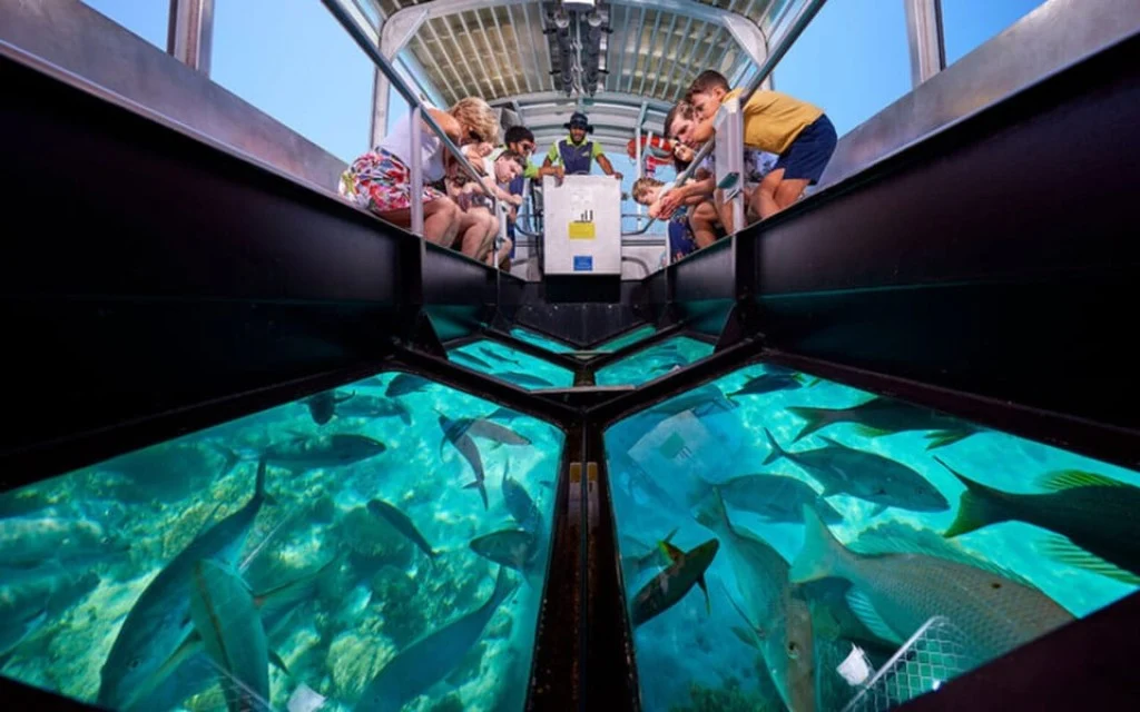 Passengers watching fish through the underwater viewing panels of a glass-bottom boat